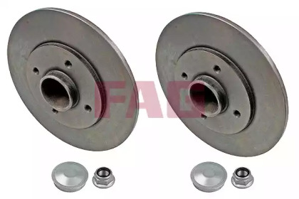 Brake disk with bearing