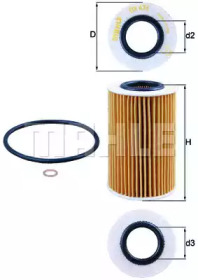 OX436D     (KNECHT)