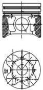 Поршень,комплект CITROEN/PEUGEOT/FORD Berlingo,C2,C3,C4,Jumpy,Xsara,Focus,C-Max,Partner,207,308,407