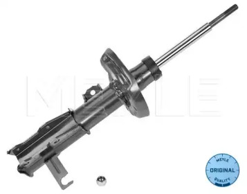Stoßdämpfer / Shock absorber