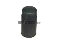 CS486     (PURFLUX)