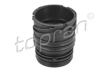 Main wiring plug